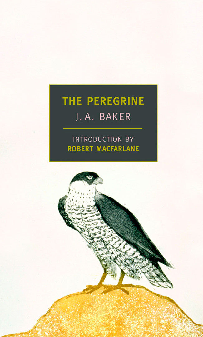 PerigRINE