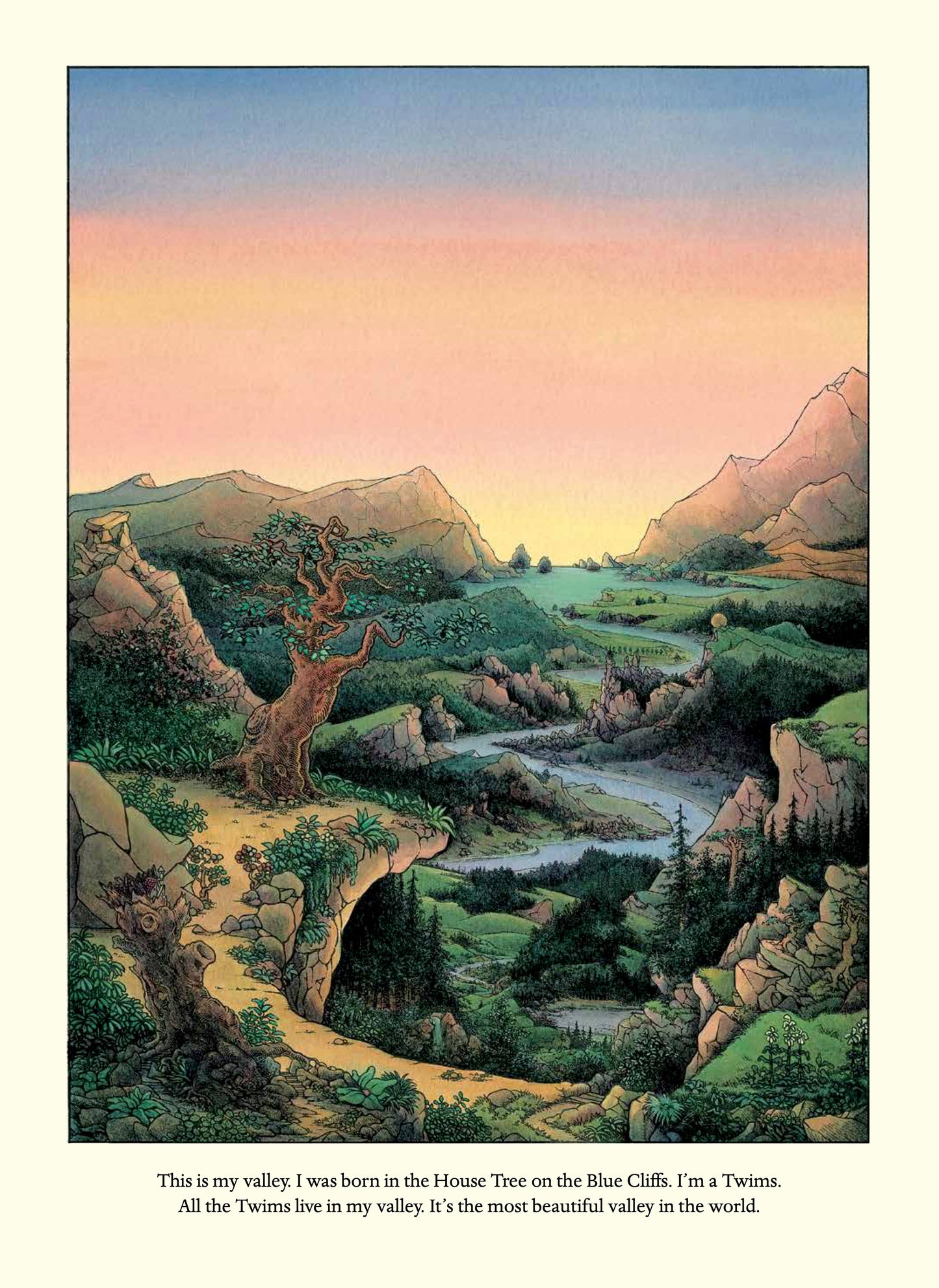 My Valley (Hardcover)